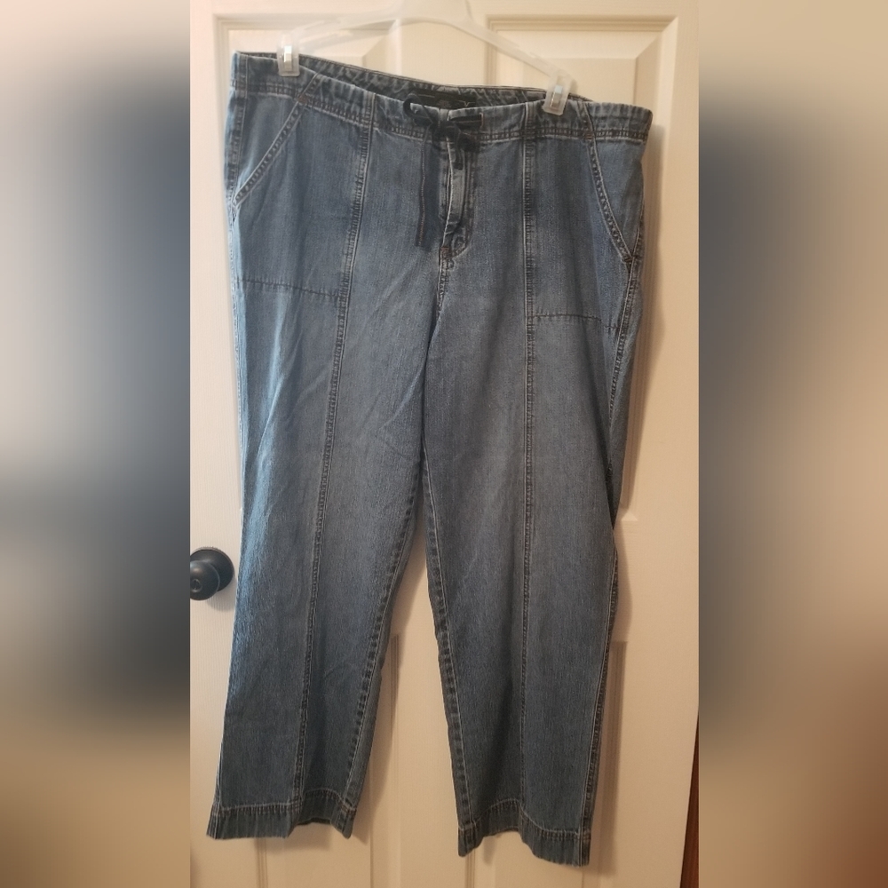 Venezia (Lane Bryant) jeans vintage